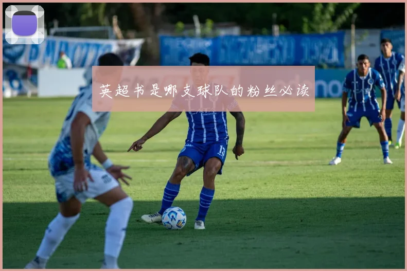 英超书是哪支球队的粉丝必读